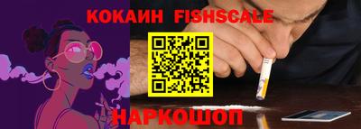 крисы Партизанск
