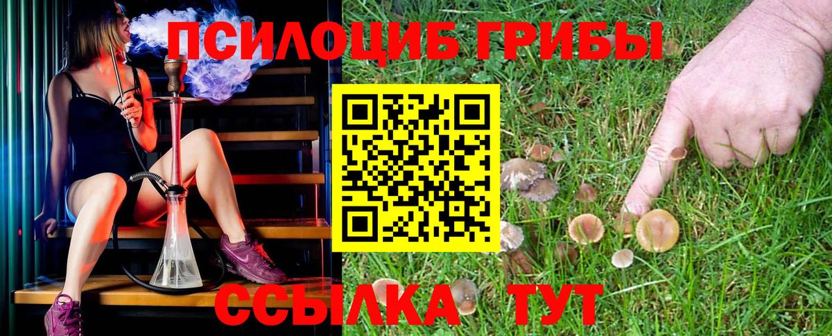 Галлюциногенные грибы Cubensis Ноябрьск