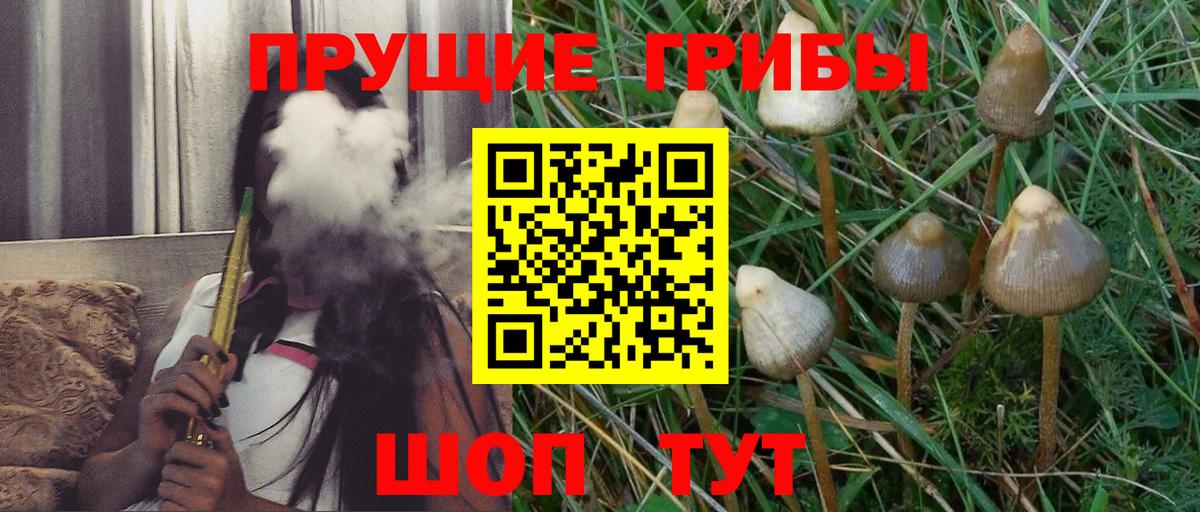 Псилоцибиновые грибы GOLDEN TEACHER  Вход с VPN  Ноябрьск 