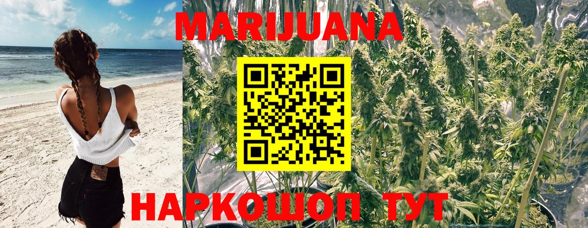 Конопля Bruce Banner Ноябрьск